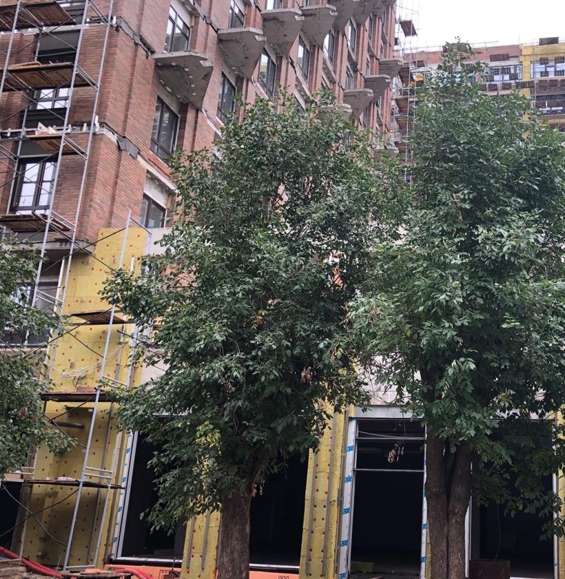 Видео-экскурсия в ЖК «Аристократ»